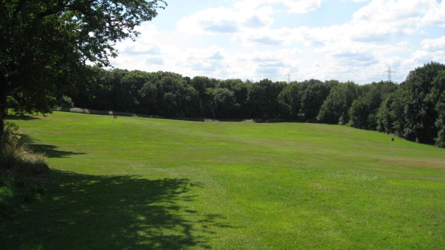 Rotherham's practice area
