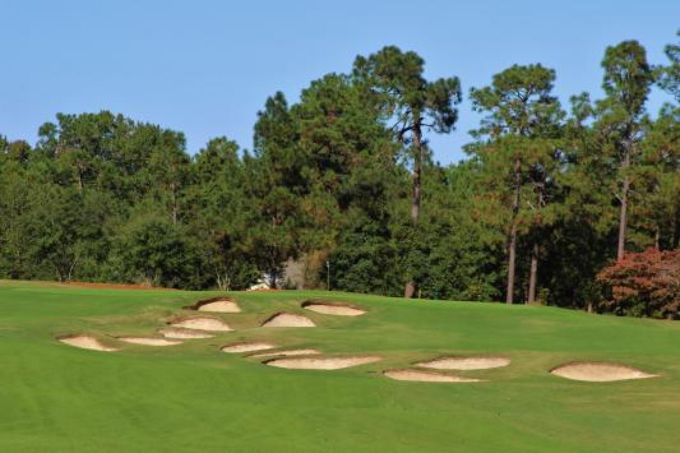 Tom Fazio added pot bunkers to give Pinehurst No. 4 a unique look in spots. (Photo submitted by JasonDeeganGA on 12/20/2013)