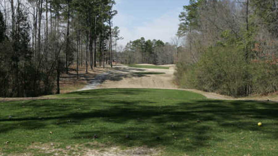 Traces GC - Meadows: #6