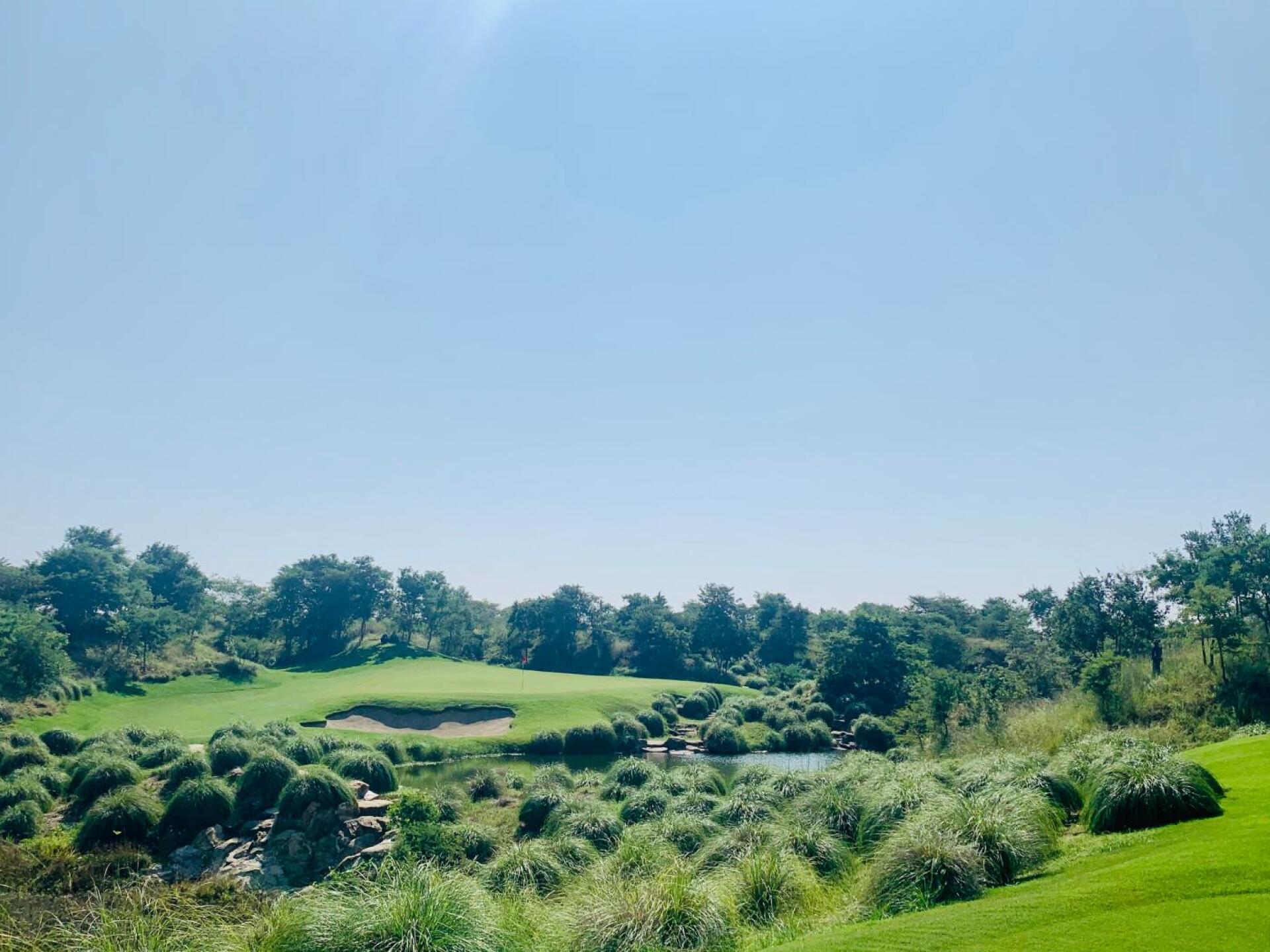 (Photo submitted by 2dN553cBb4wj1NNAE7QL on 11/15/2019)