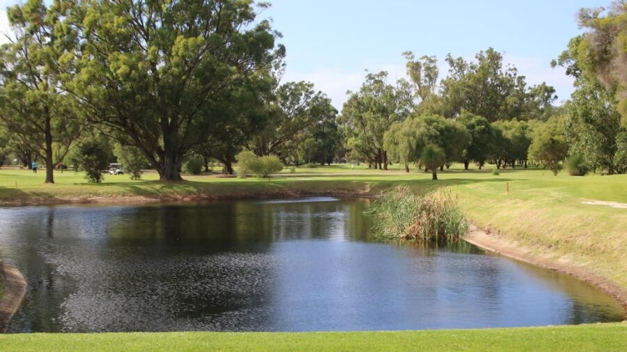 Pinjarra GC: #4