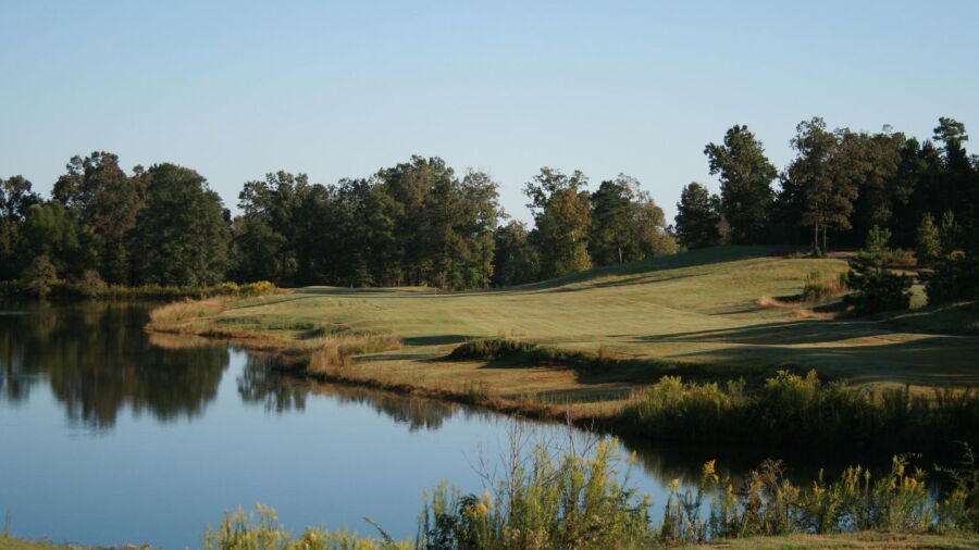Turtle Pointe GC: #11