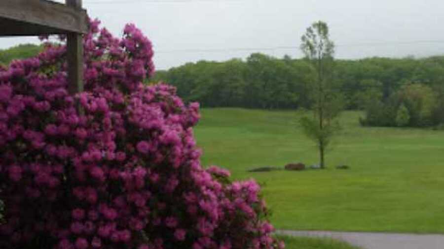 Kings Mountain GC