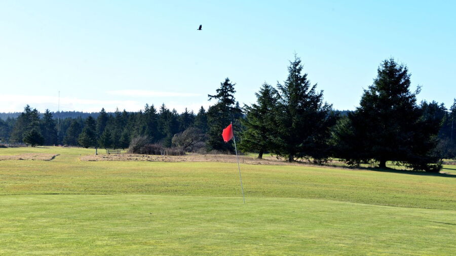Willows GCC