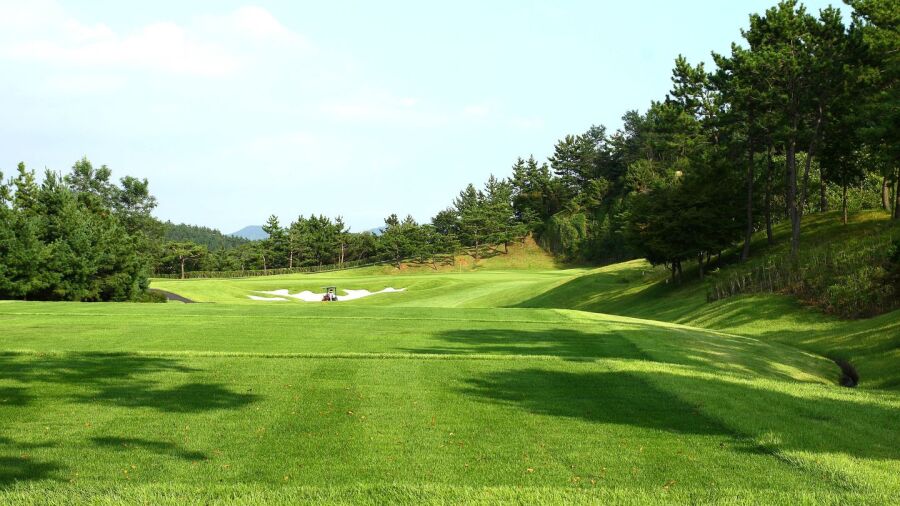 Seungju CC - Center: #8
