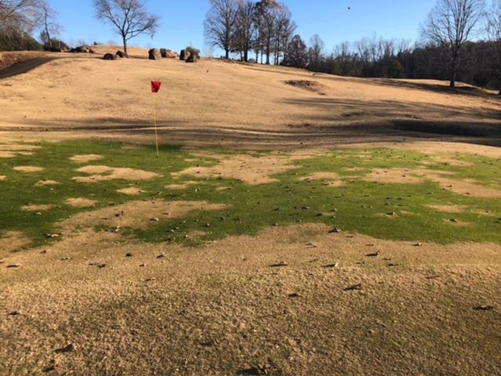 (Photo submitted by Ngarbarini on 12/21/2019)