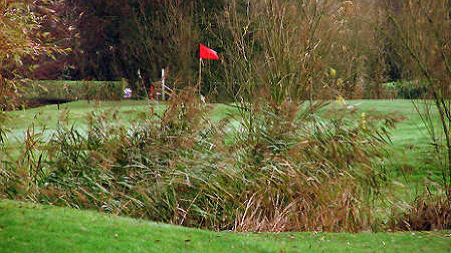 Gedney Hill GC: #2