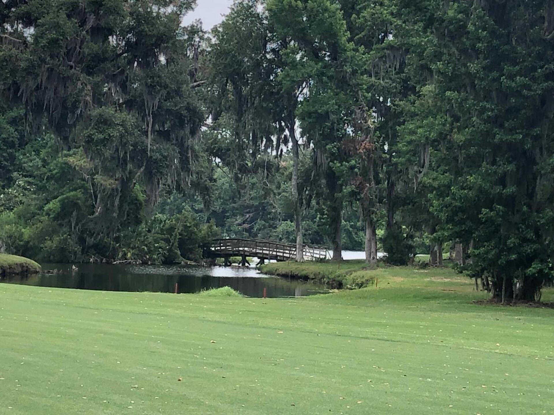 (Photo submitted by Wagricola on 06/04/2019)