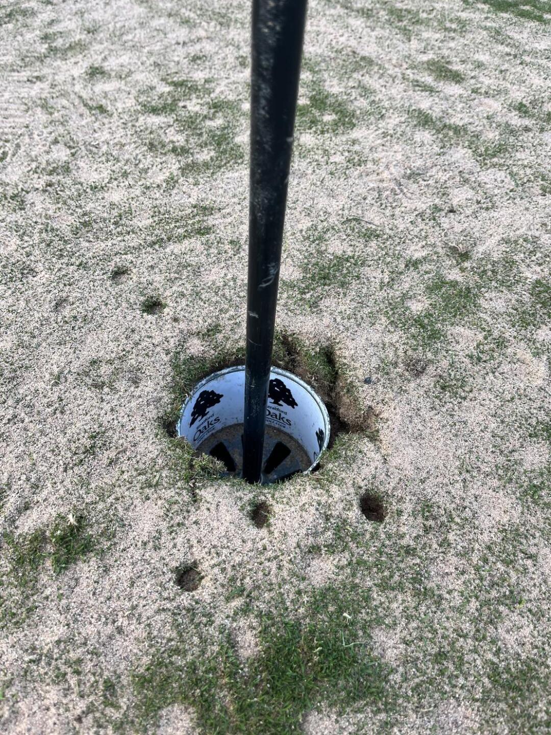 (Photo submitted by John20182018 on 09/05/2024)