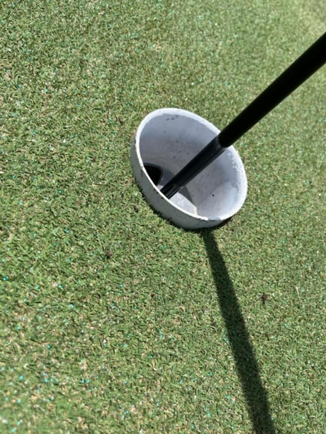 (Photo submitted by u314160376832 on 07/12/2023)