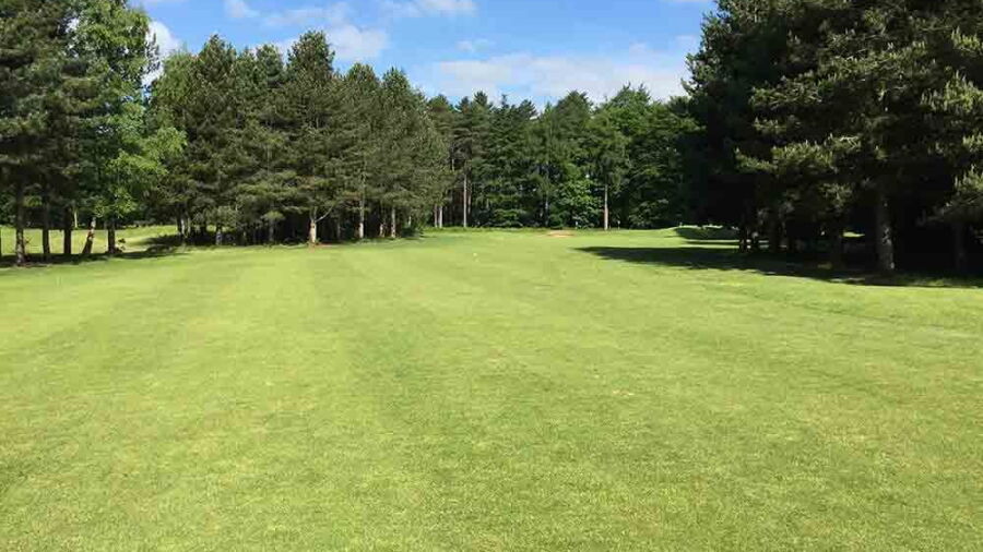 Forest Pines Hotel & Golf Resort - Beeches: #2