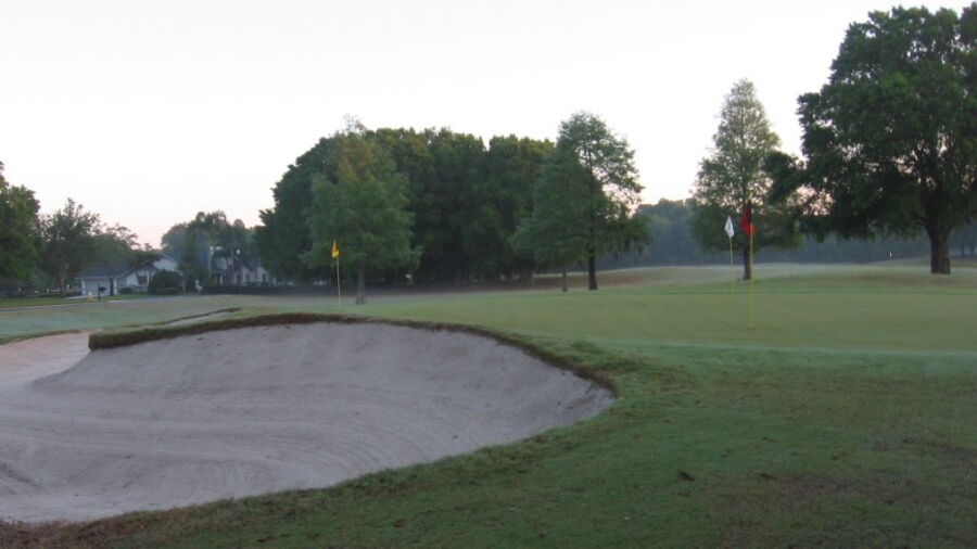 Cypress Run GC: Practice area