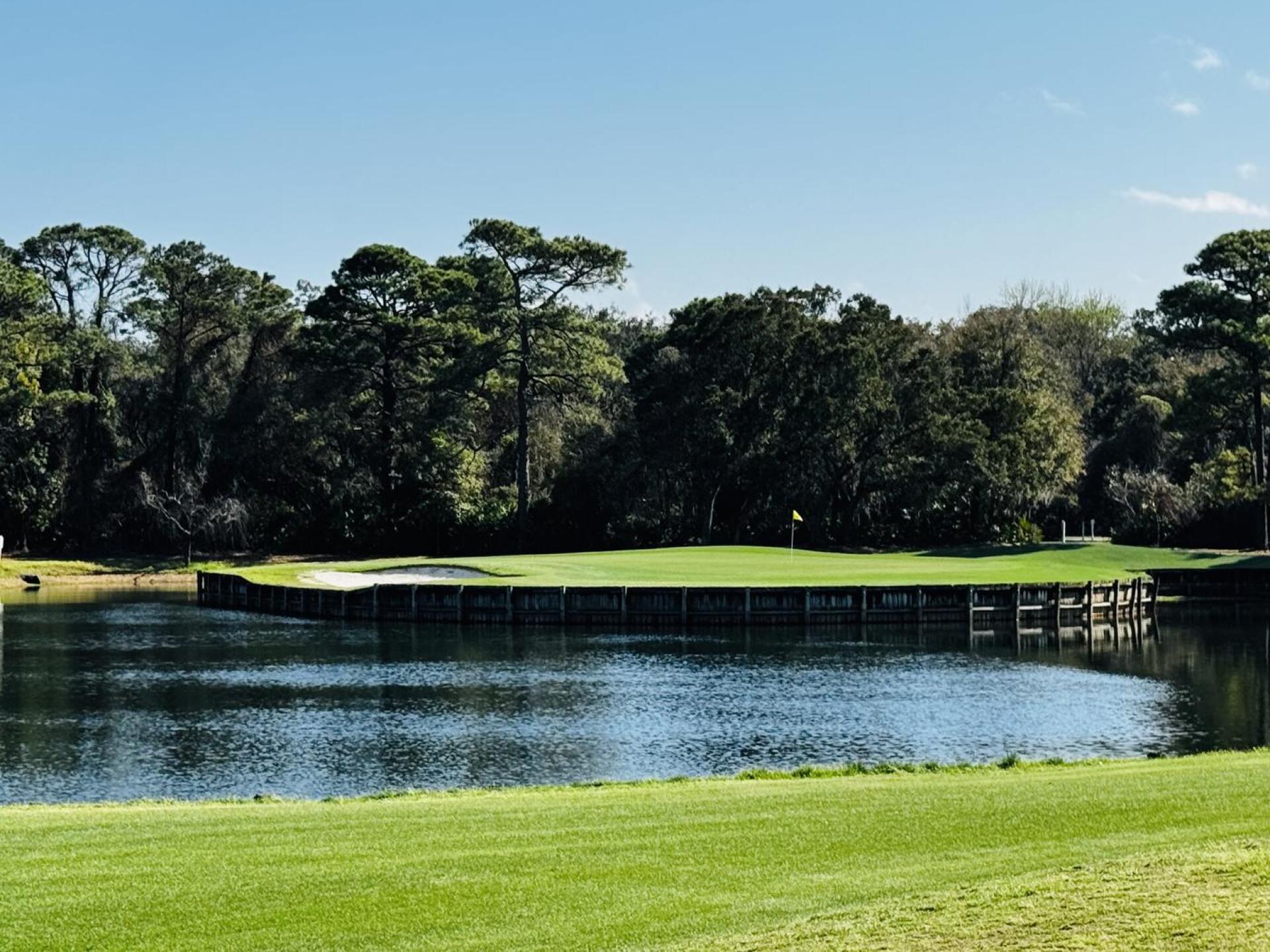 (Photo submitted by u314164693340 on 03/09/2026)