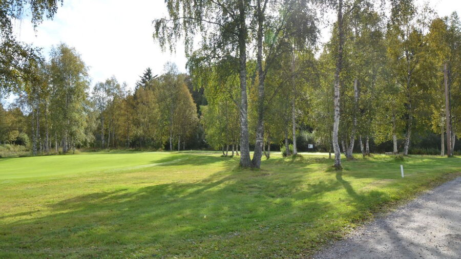 Hede Vemdalens GC: #10, #17
