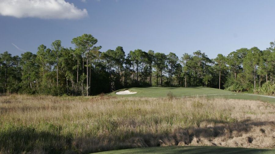 Sandhill Crane GC