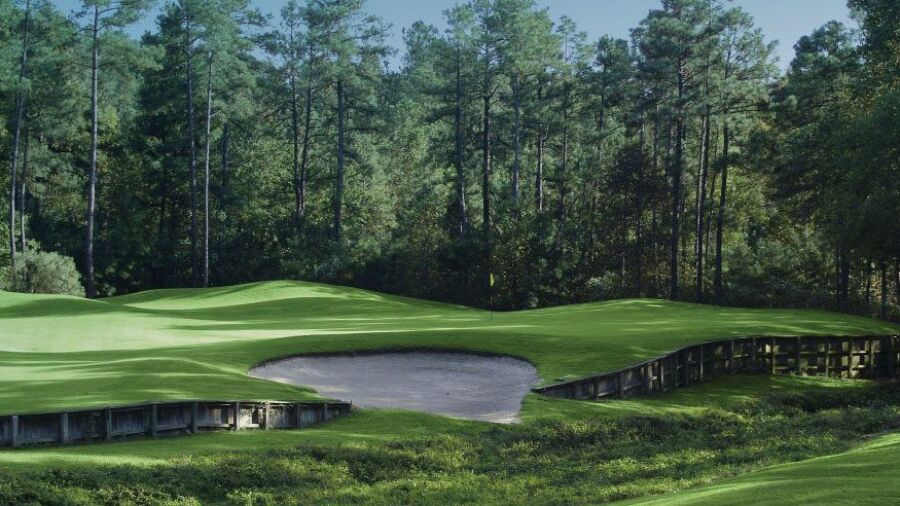 Holly at Pinewild CC: #16