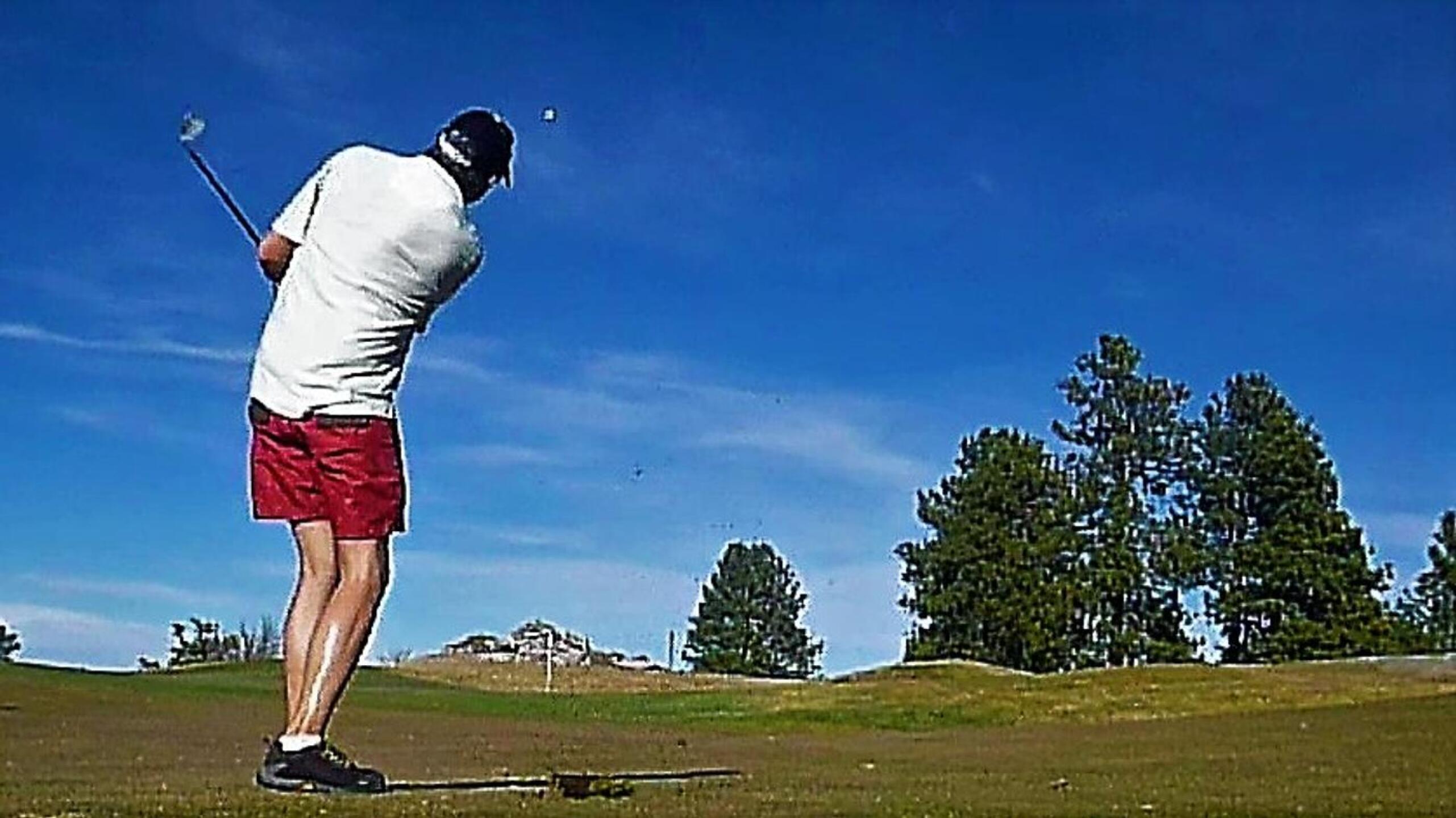 (Photo submitted by DiamondAces on 11/24/2023)