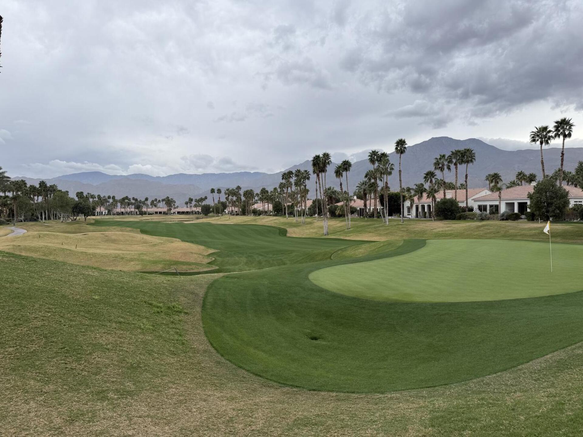 (Photo submitted by chrispsd on 02/12/2026)