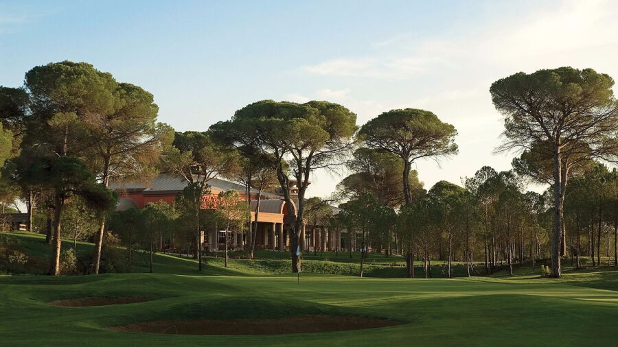 Cornelia GC