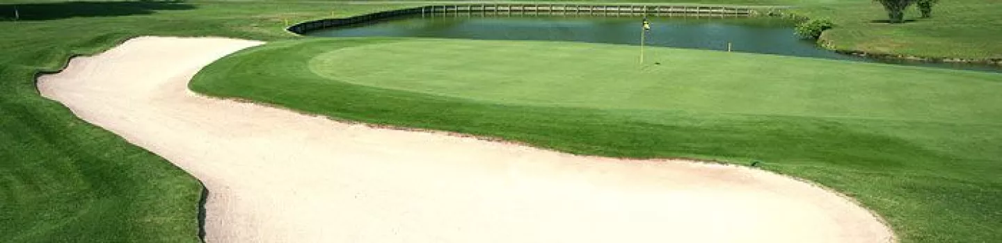 Quicksilver GC: #8