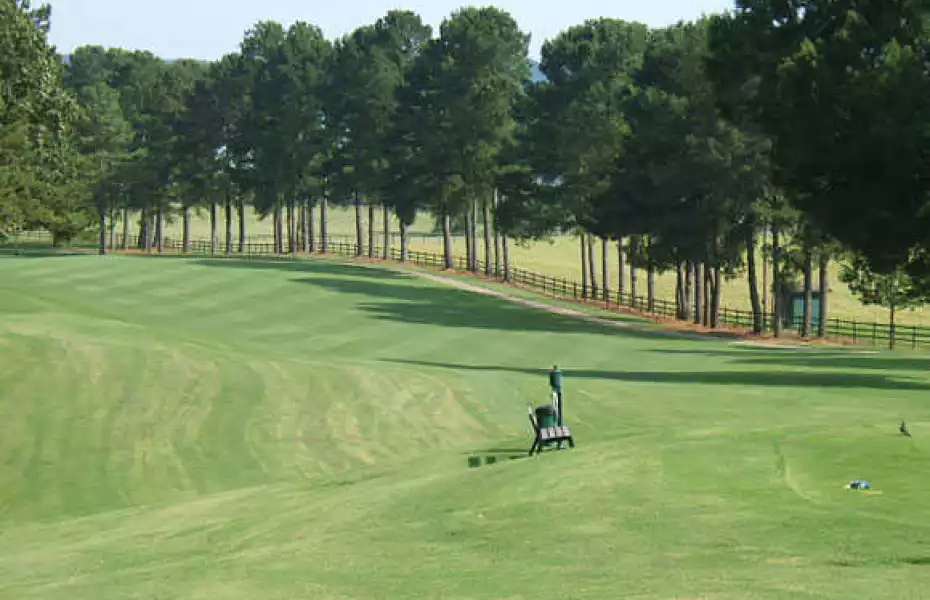 Turtle Point Yacht & CC: #17