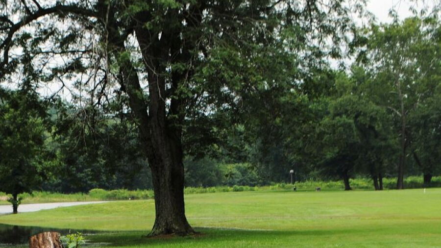 Piney Valley GC
