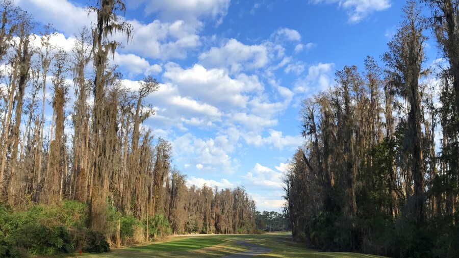 Saddlebrook Course at Saddlebrook Resort - no. 5