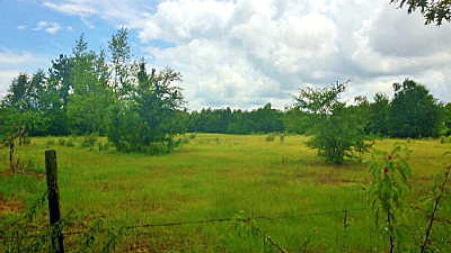 New Ellenton GC