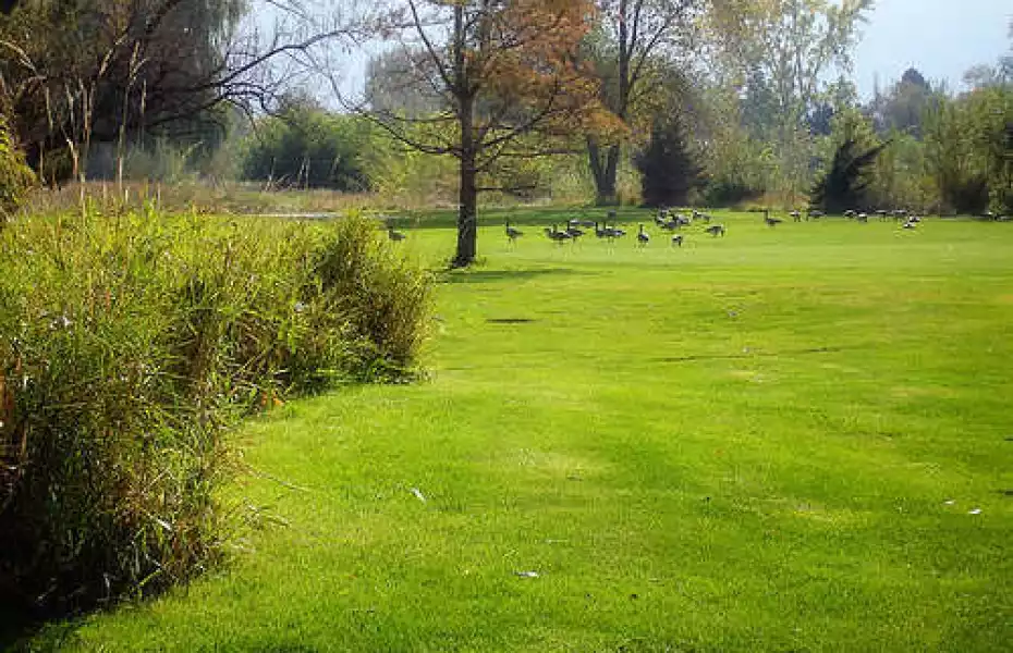 Executive at Mick Riley GC