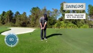 David Duval - Short Game