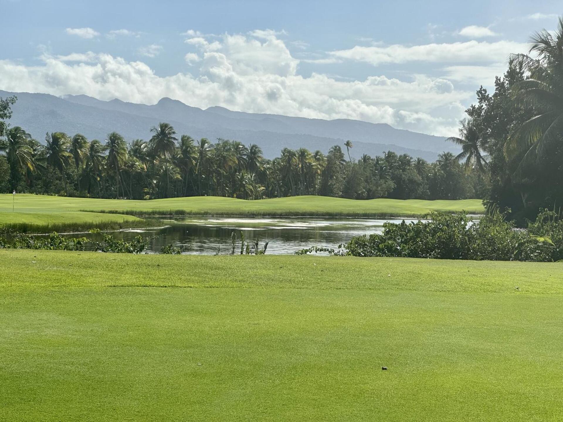 (Photo submitted by sjukes210 on 01/10/2023)