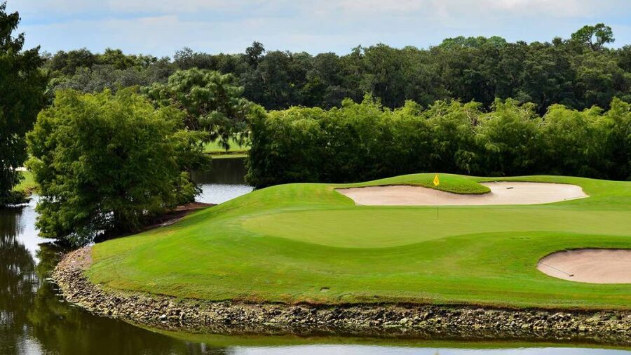 Gator Creek GC