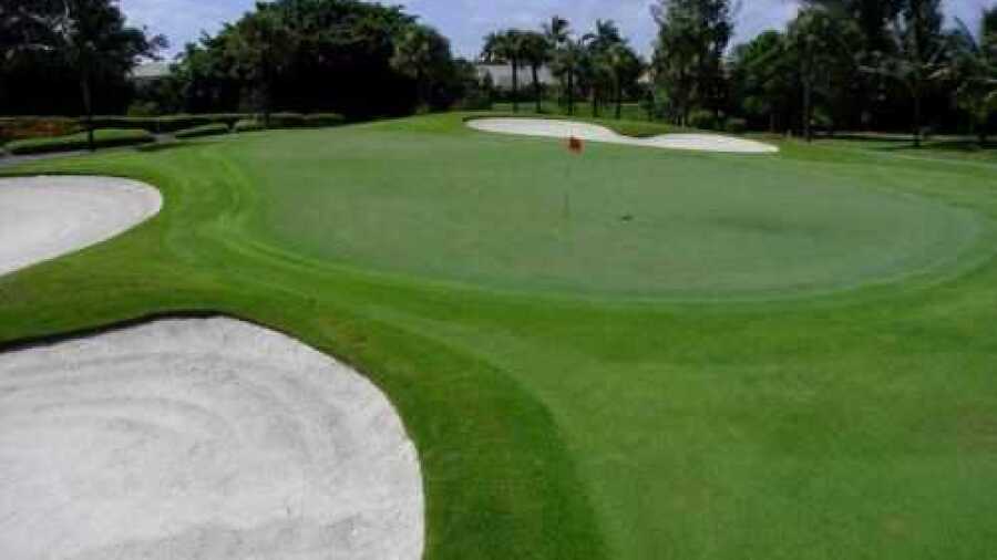 Orange at Delaire CC: #2