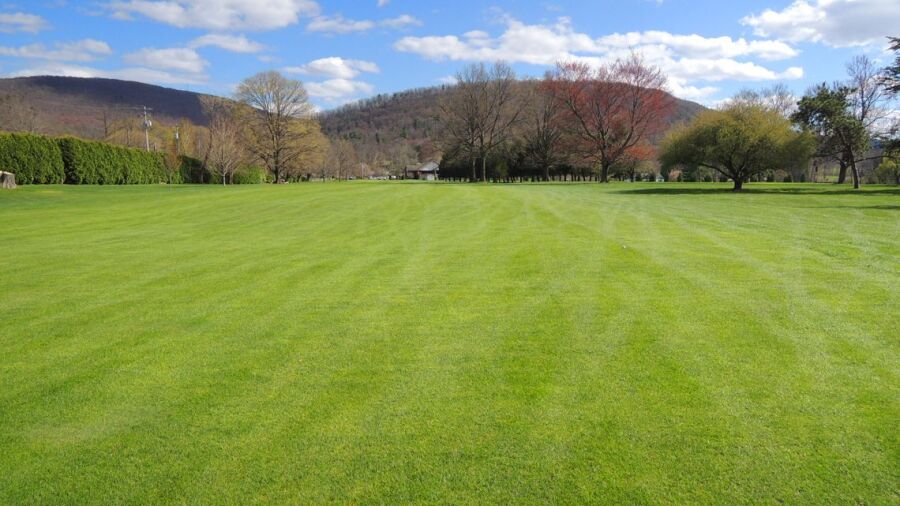 Nittany CC: #9