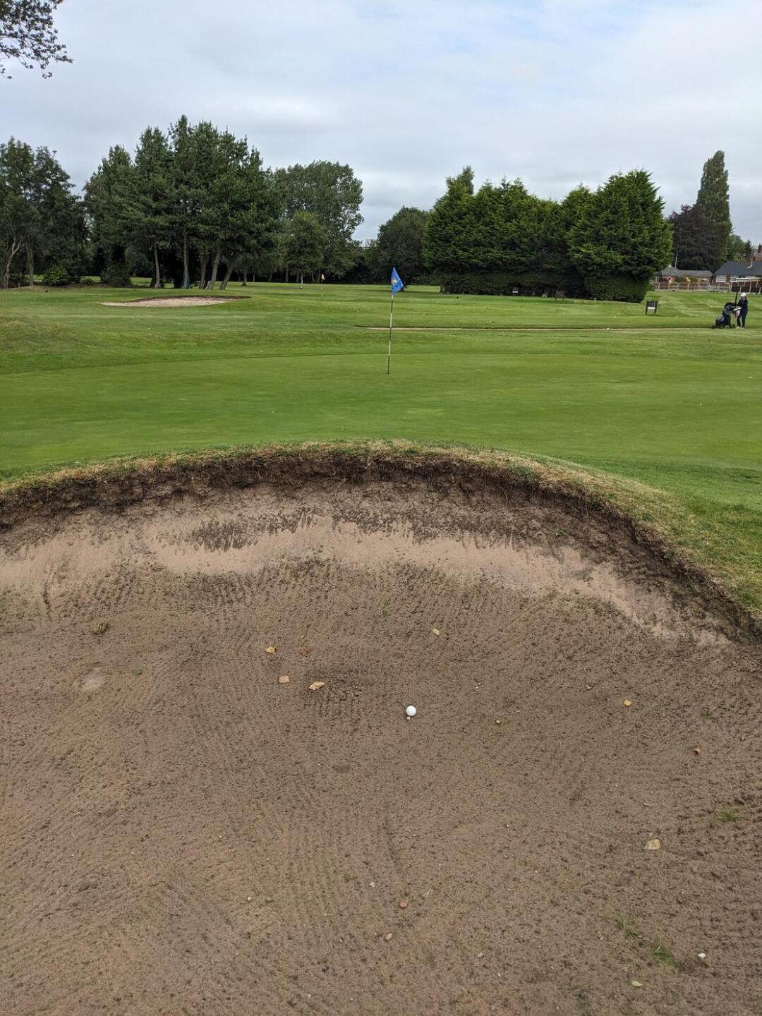 (Photo submitted by UmNhsKioz6qsZL2CZatS on 08/23/2024)