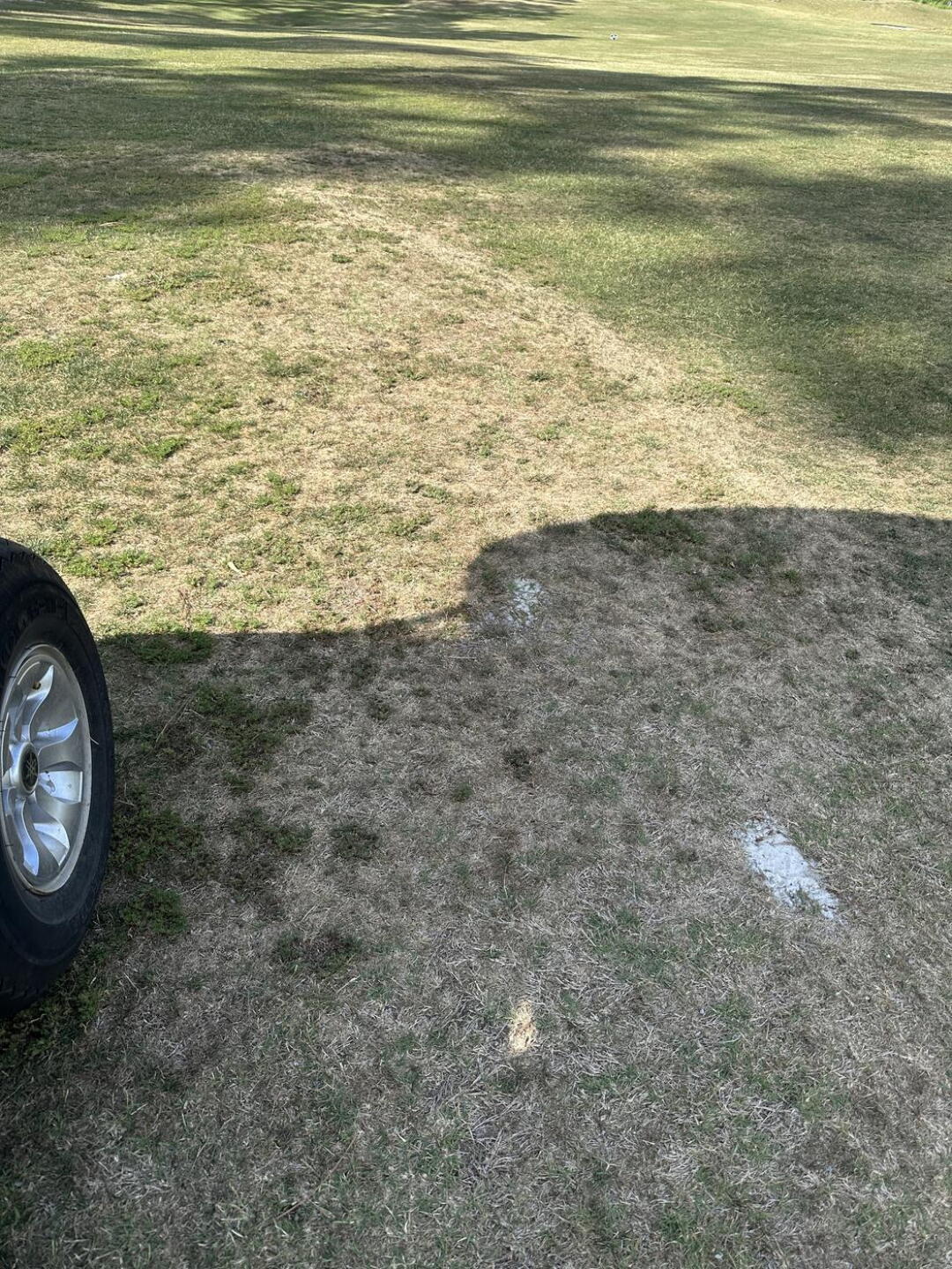(Photo submitted by timck on 05/03/2025)