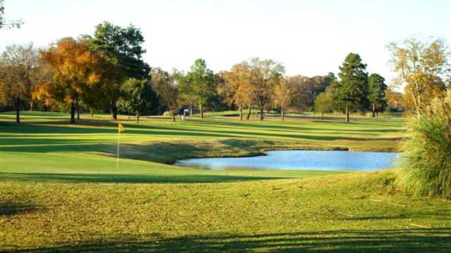 Palmetto CC
