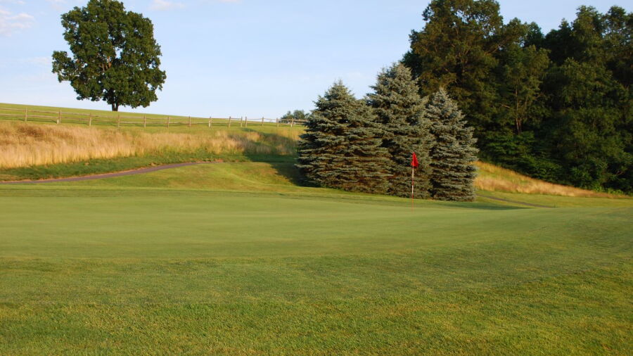 Indian Springs GC: #8