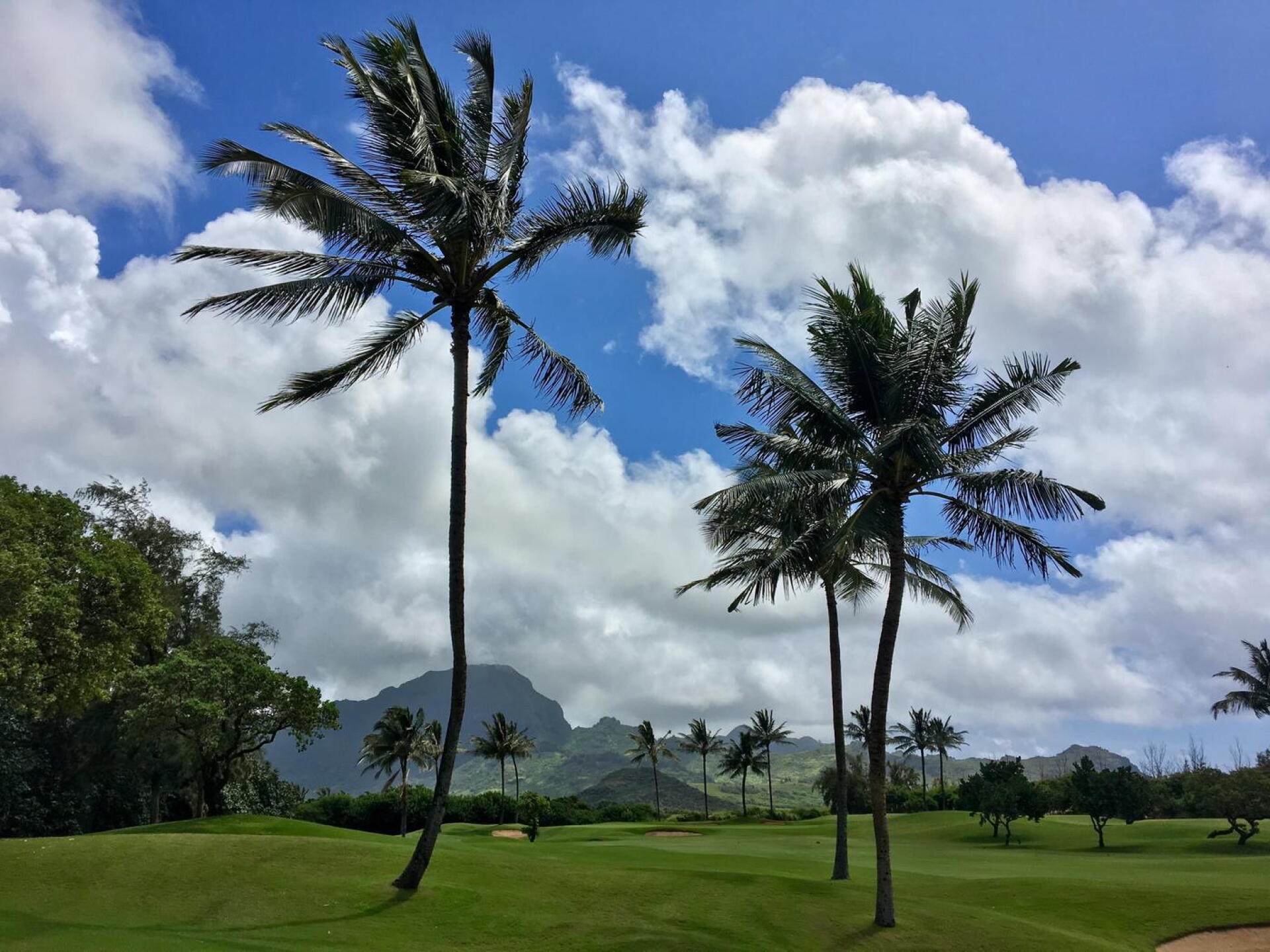 Par-4 12th hole. (Photo submitted by BrandonWebb on 06/07/2018)