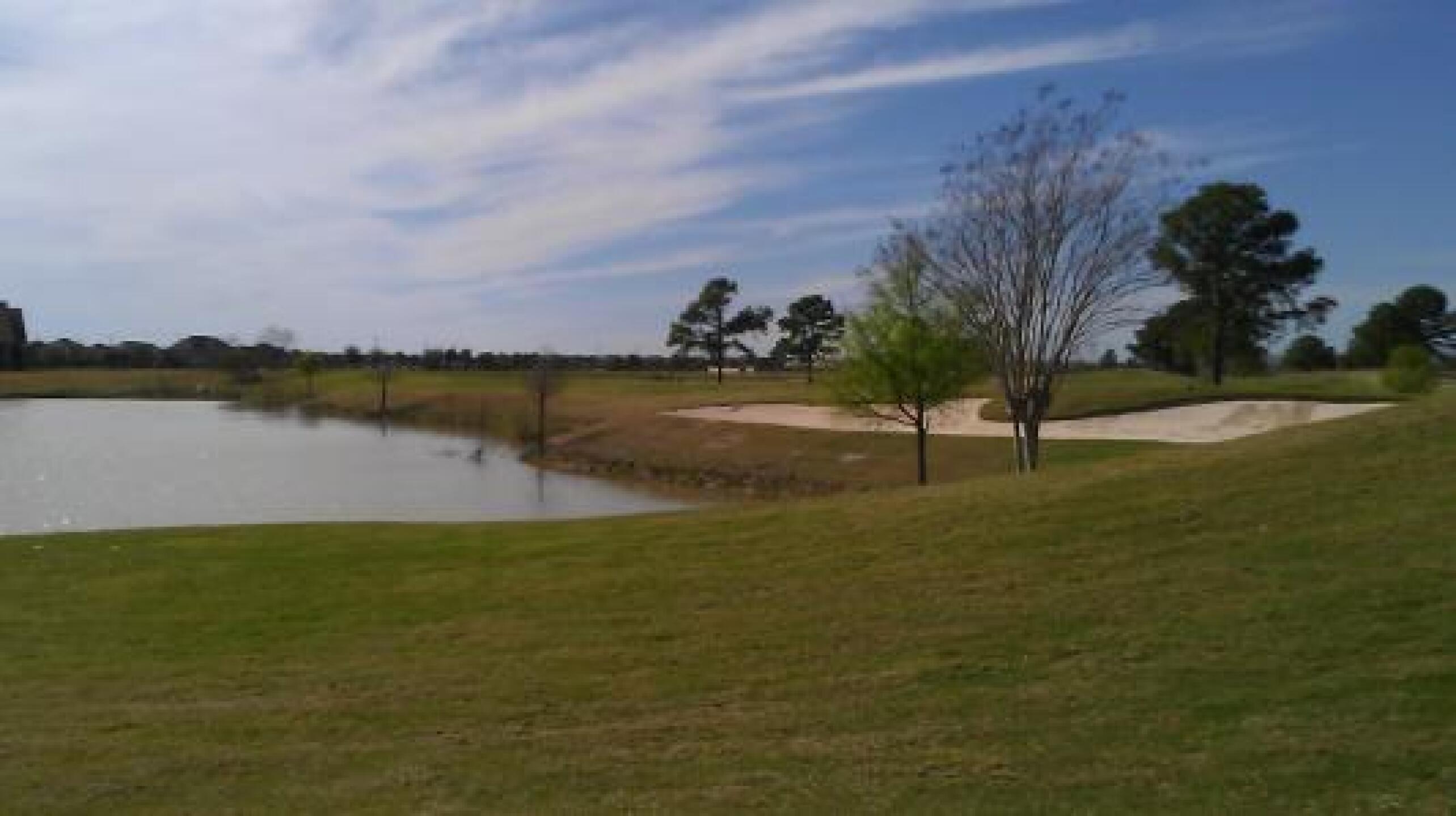 plenty of water (Photo submitted by roadgolfer on 02/27/2013)