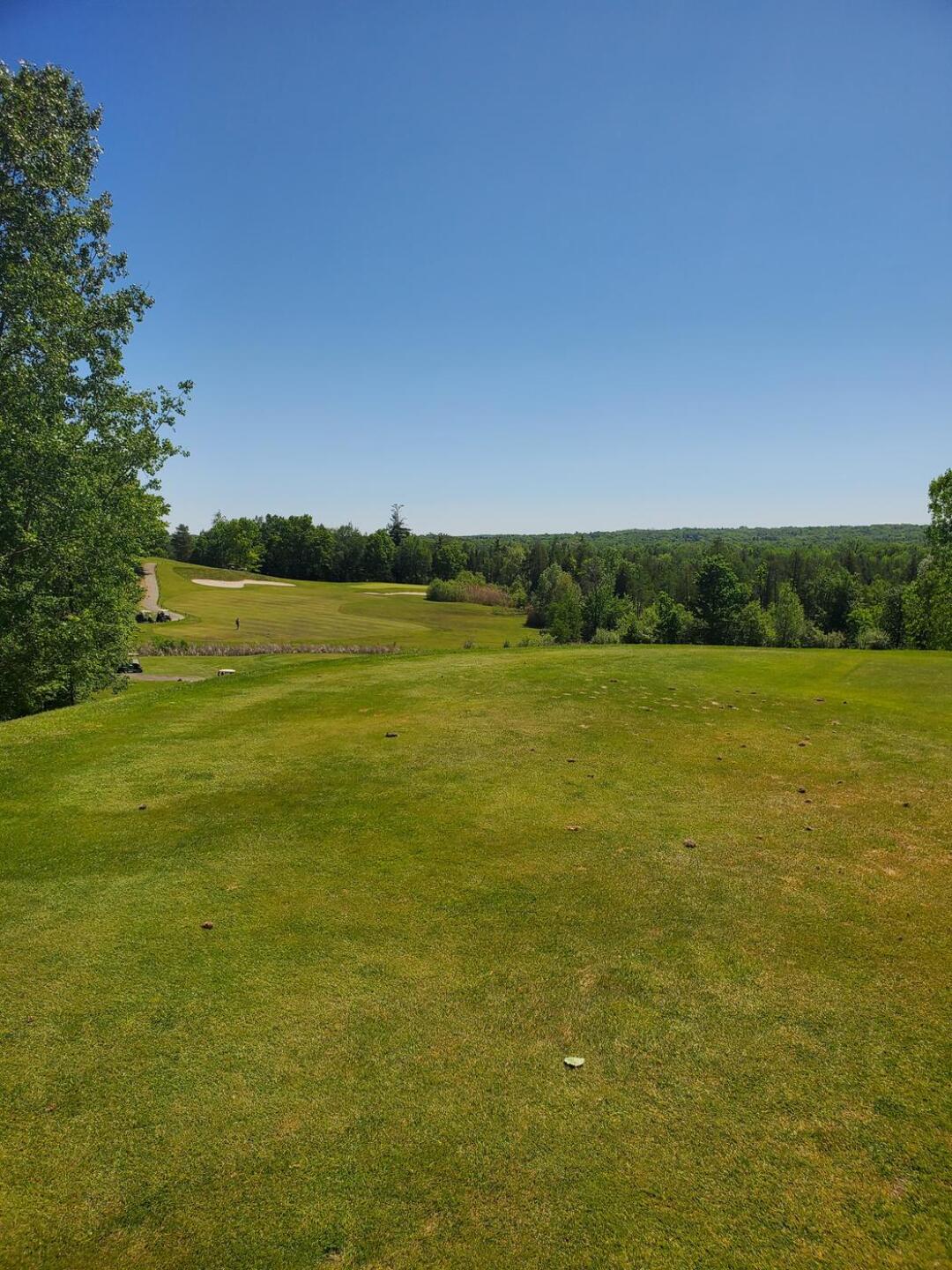 (Photo submitted by howardkhru on 05/30/2021)