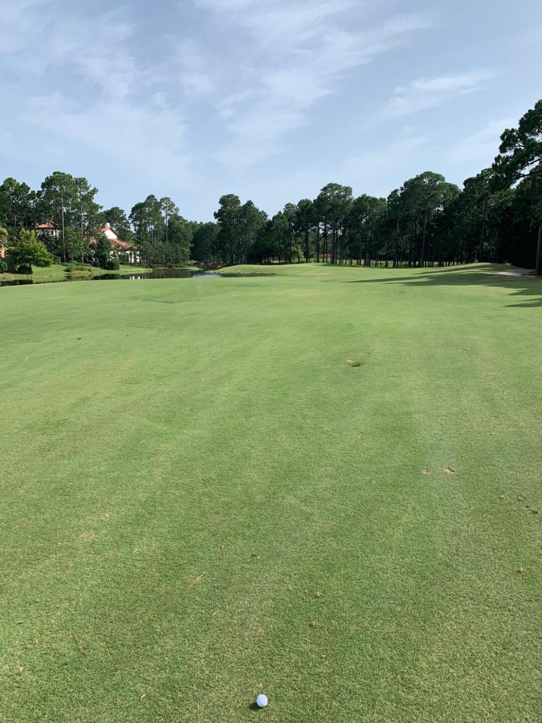 (Photo submitted by Keith45 on 06/27/2019)