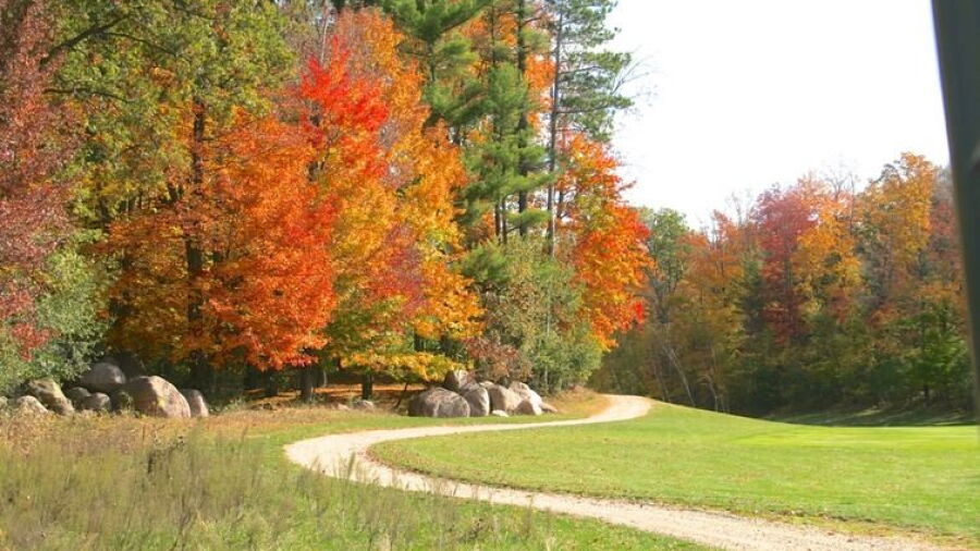 Glacier Wood GC: #11
