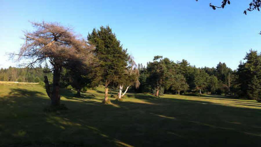 Riverside Golf Centre: #6