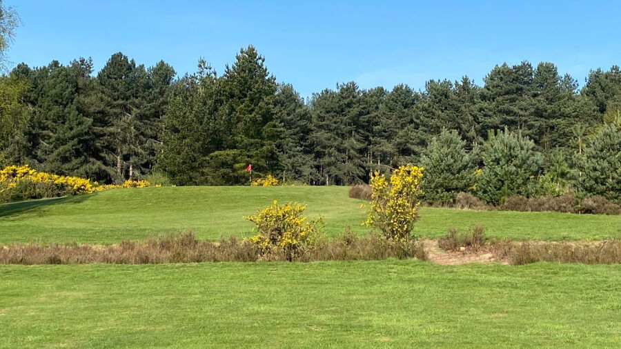 Oakmere Park GC - Captains