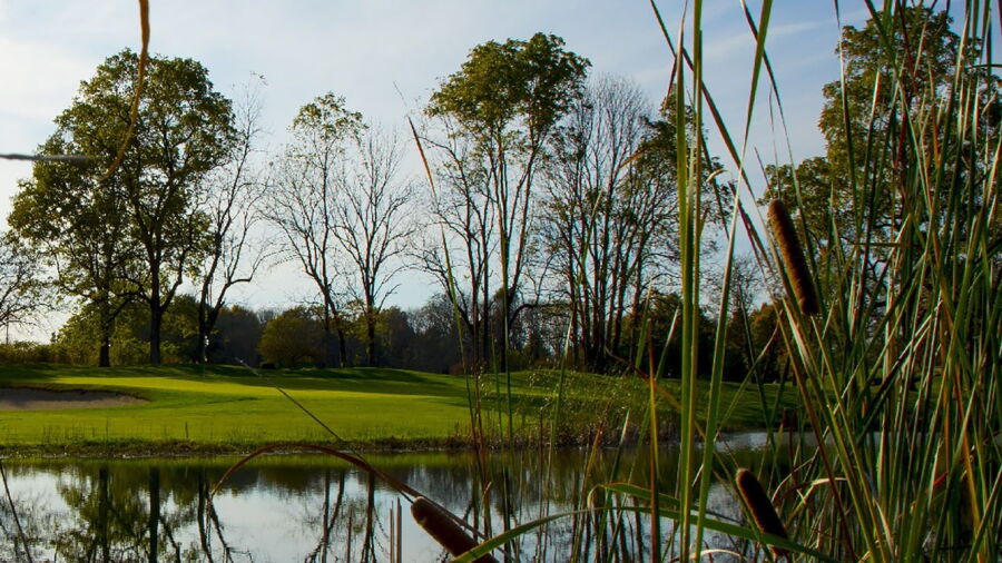 Wood Wind GC
