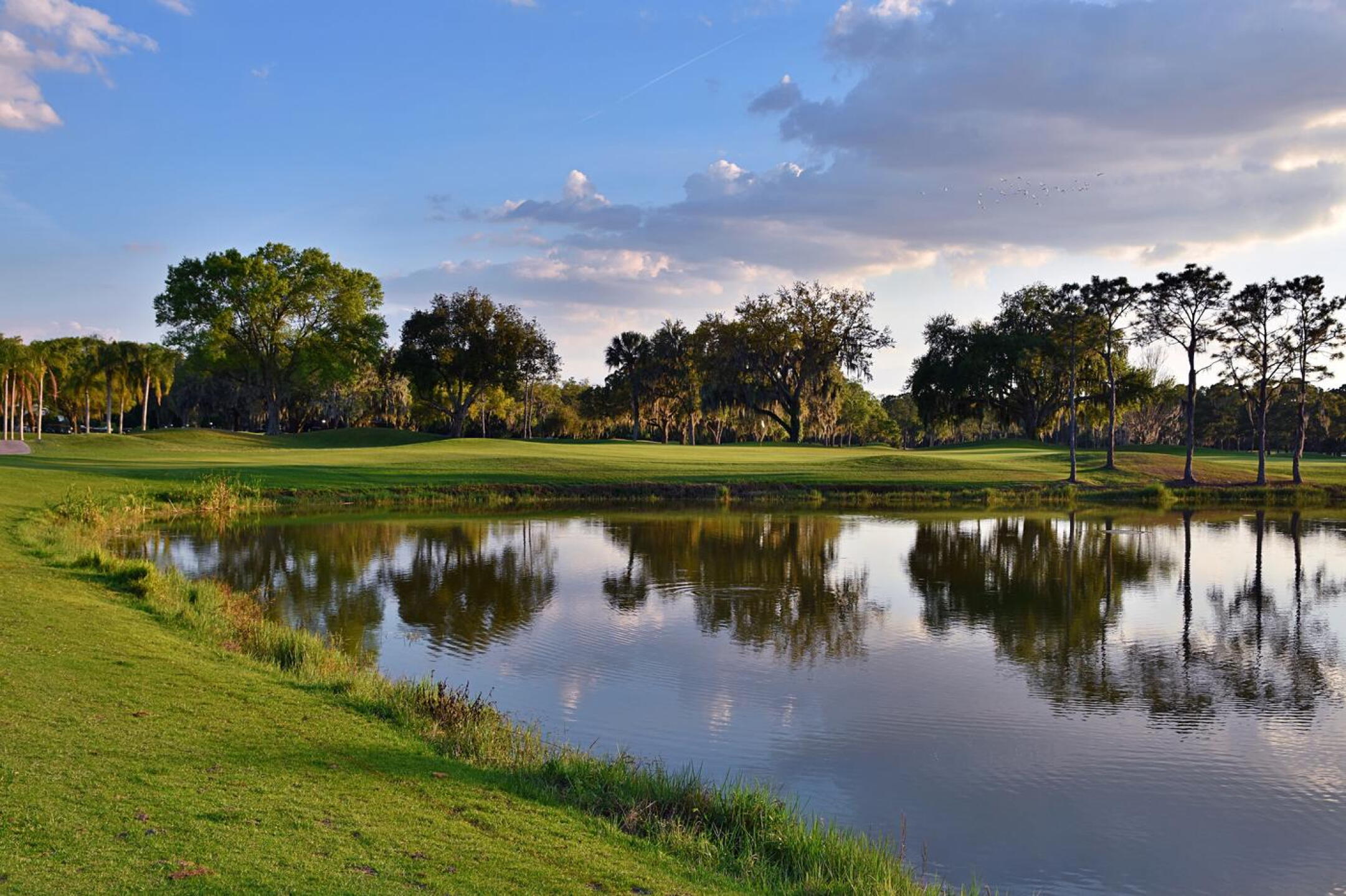 From fairway eighteen, a view of the green complex at dusk. (Photo submitted by AptlyLinked on 03/13/2026)