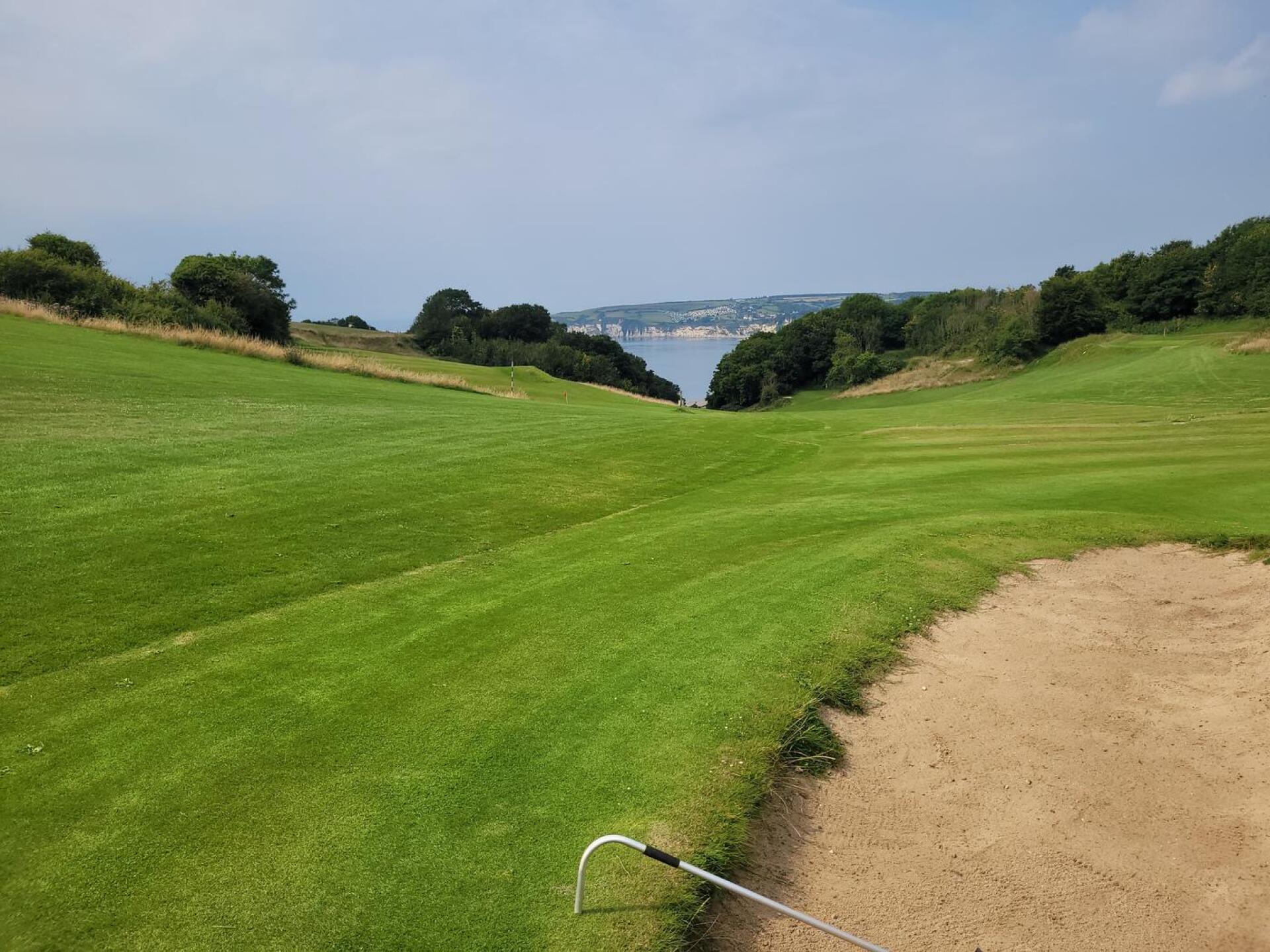 (Photo submitted by RPortman on 08/03/2024)