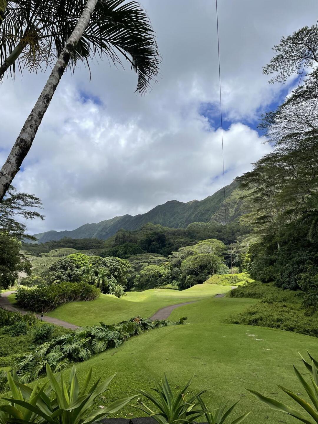 (Photo submitted by Daren5388768 on 08/01/2022)