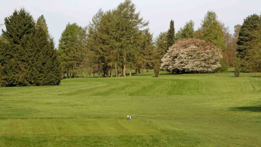 GC an der Goehrde - White: #1